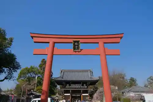 梅宮大社の鳥居