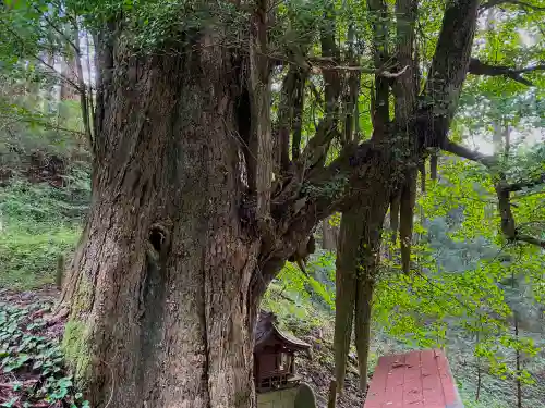由豆佐賣神社の自然