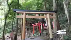 出雲大神宮の鳥居