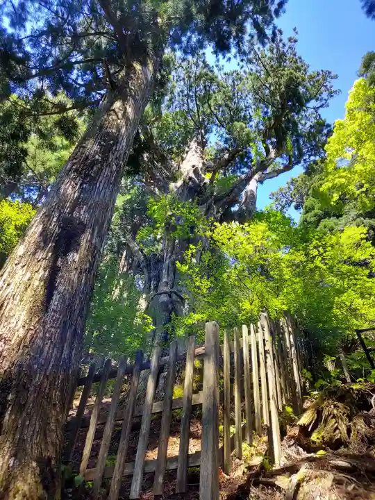玉置神社の{uncategorized: "未分類", other: "その他", undefined: "問題あり", building: "その他建物", grave: "お墓", sacred_gate: "鳥居", guardian: "狛犬", statue: "像", buddha: "仏像", history: "歴史", nature: "自然", garden: "庭園", animal: "動物", pagoda: "塔", temizu: "手水舎", mountain_gate: "山門・神門", sanctuary: "本殿・本堂", subordinate: "末社・摂社", art: "芸術", scenery: "景色", jizo: "地蔵", ema: "絵馬", goshuin: "御朱印", omikuji: "おみくじ", items: "授与品その他", amulet: "お守り", goshuincho: "御朱印帳", eats: "食事", festival: "お祭り", votive_dance: "神楽", shichigosan: "七五三参", wedding: "結婚式", experience: "体験その他", initially: "初詣", around: "周辺", anti_infection: "感染症対策"}