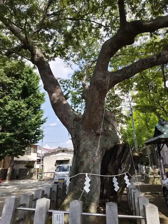 阿邪訶根神社(福島県)