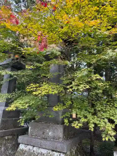 諏訪大社下社秋宮(長野県)