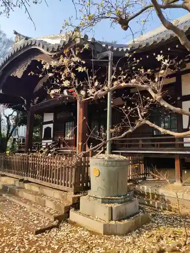 鬼子母神堂　(法明寺）(東京都)