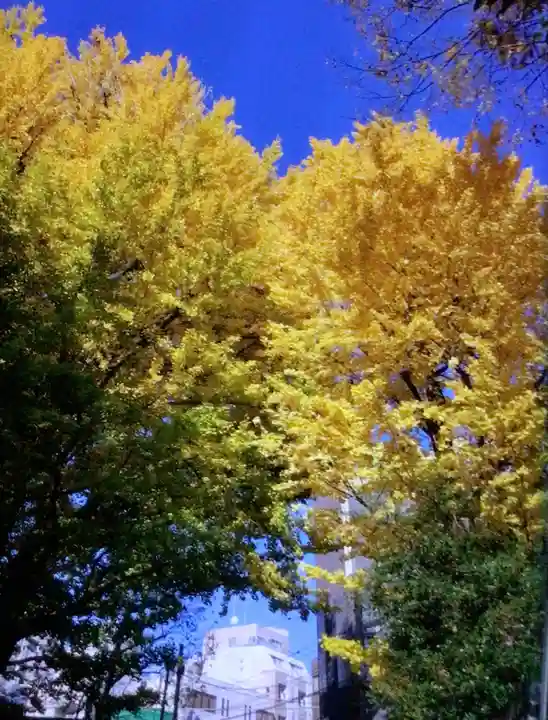 鳩森八幡神社(東京都)