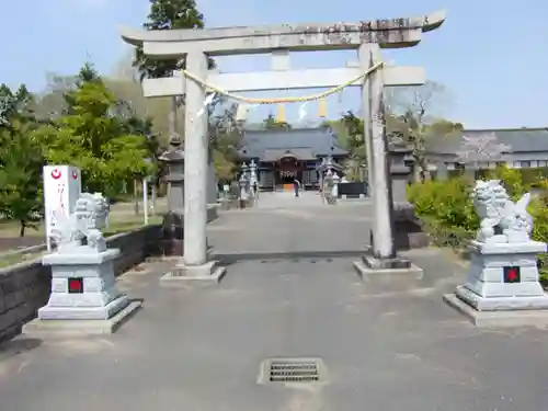 白子神社の鳥居