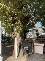 金山神社(愛知県)