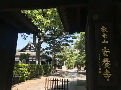安養寺の山門・神門