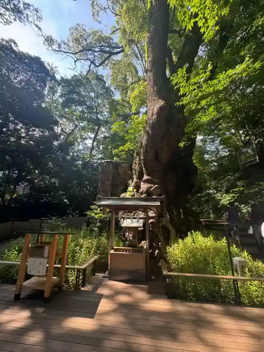 來宮神社(静岡県)