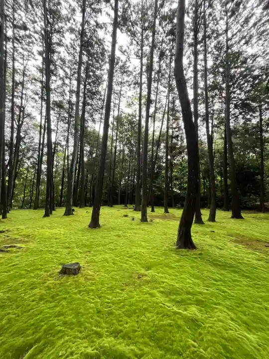唐招提寺(奈良県)