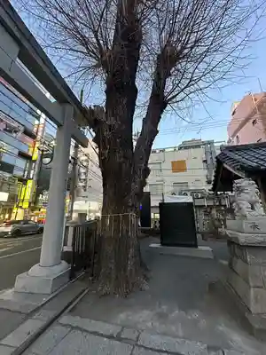 柏神社(千葉県)