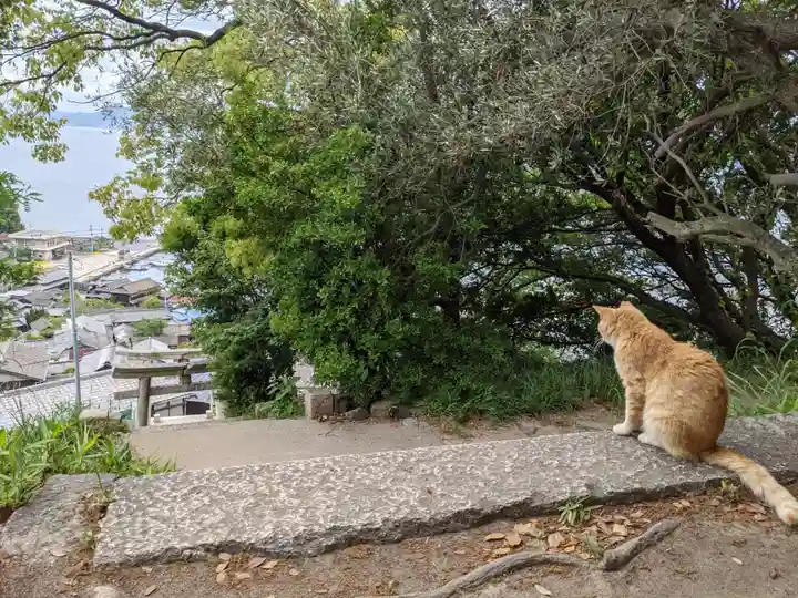 豊玉姫神社(香川県)