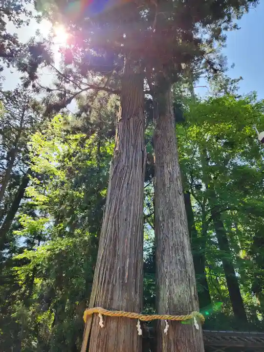 伊和神社(兵庫県)
