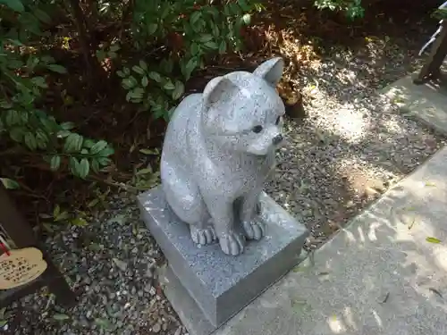 座間神社の狛犬