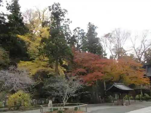 妙本寺の景色