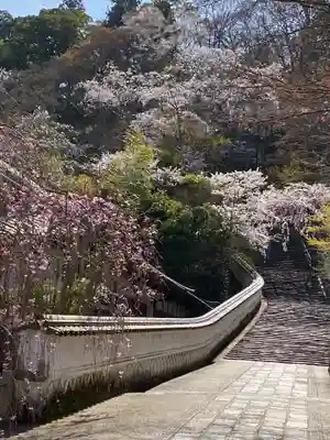 長谷寺のその他建物