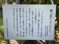 神明神社(大薮町)の自然