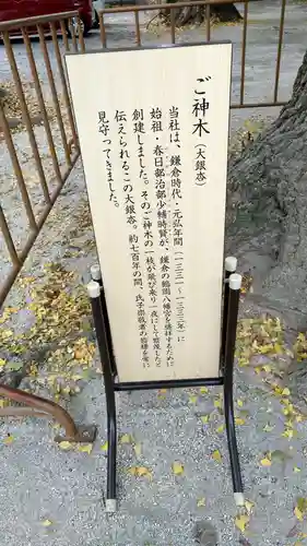 春日部八幡神社(埼玉県)