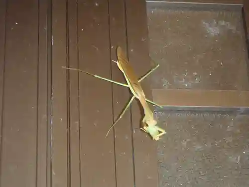 御鍬神社(愛知県)