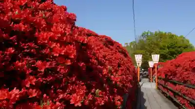 長岡天満宮のその他建物