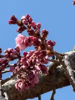 観音神社(広島県)
