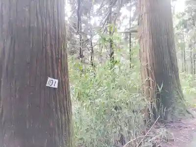 武蔵御嶽神社(東京都)