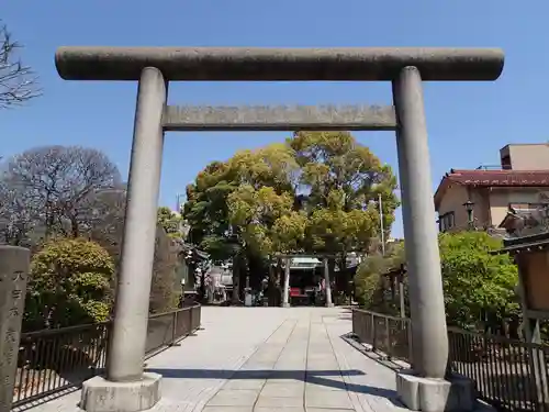小村井 香取神社の鳥居