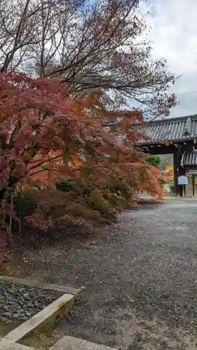実相院門跡(京都府)