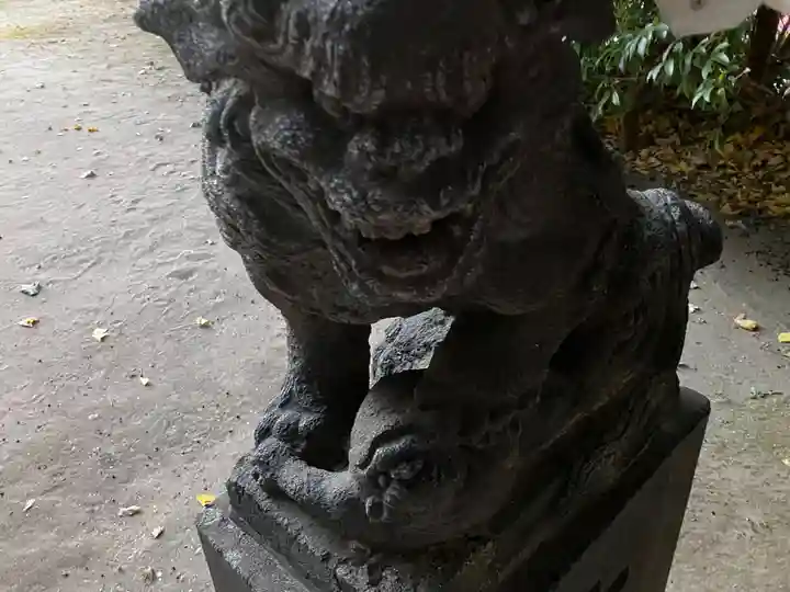 富岡八幡宮の狛犬