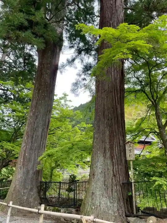 室生寺の{uncategorized: "未分類", other: "その他", undefined: "問題あり", building: "その他建物", grave: "お墓", sacred_gate: "鳥居", guardian: "狛犬", statue: "像", buddha: "仏像", history: "歴史", nature: "自然", garden: "庭園", animal: "動物", pagoda: "塔", temizu: "手水舎", mountain_gate: "山門・神門", sanctuary: "本殿・本堂", subordinate: "末社・摂社", art: "芸術", scenery: "景色", jizo: "地蔵", ema: "絵馬", goshuin: "御朱印", omikuji: "おみくじ", items: "授与品その他", amulet: "お守り", goshuincho: "御朱印帳", eats: "食事", festival: "お祭り", votive_dance: "神楽", shichigosan: "七五三参", wedding: "結婚式", experience: "体験その他", initially: "初詣", around: "周辺", anti_infection: "感染症対策"}