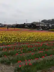 阿蘇神社の周辺