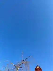 大鏑神社の景色(2021年01月25日(月) 18時25分37秒投稿)