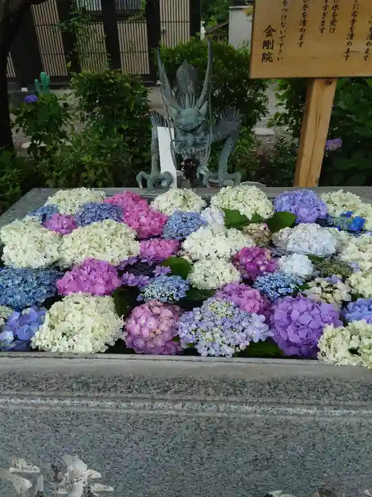 金剛院の手水舎