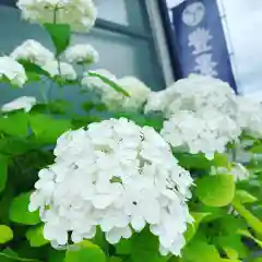 豊景神社の自然