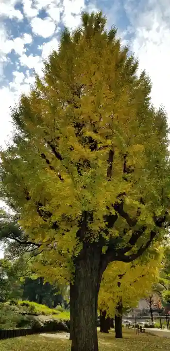 伏見三寳稲荷神社の自然