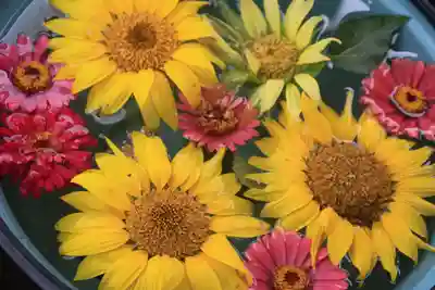 大鏑神社の手水舎