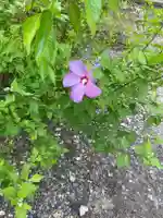 国上寺(新潟県)