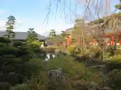 蓮華王院（三十三間堂）の庭園