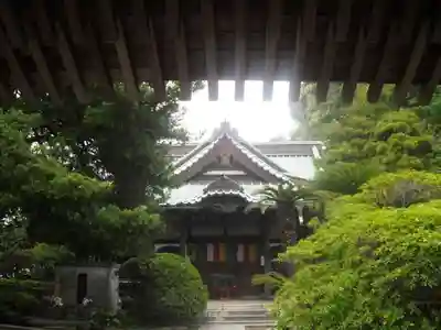 安養院　(田代寺）の本殿・本堂