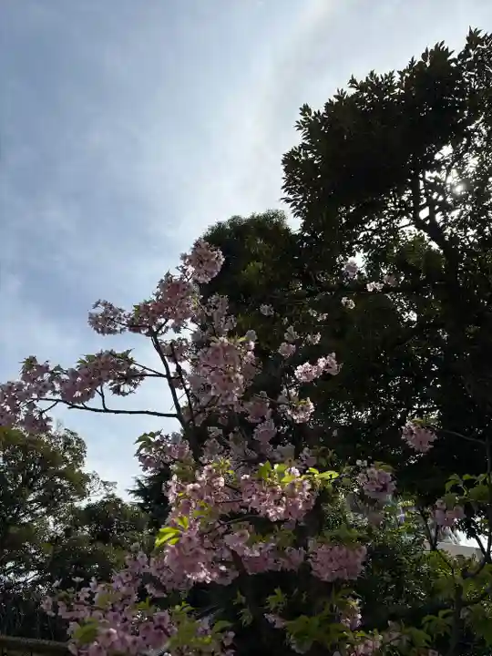 東京大神宮(東京都)