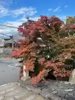 光明院(光明禅院)の自然