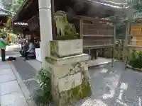 白雲神社の狛犬