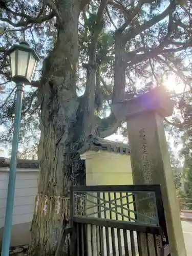 忉利天上寺の自然