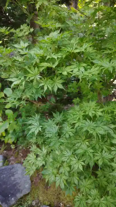 隠津島神社(福島県)