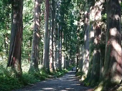 戸隠神社奥社の建物その他