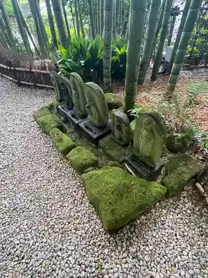 報国寺(神奈川県)