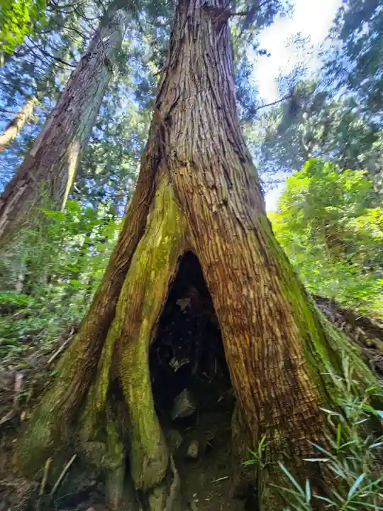赤城神社(三夜沢町)(群馬県)
