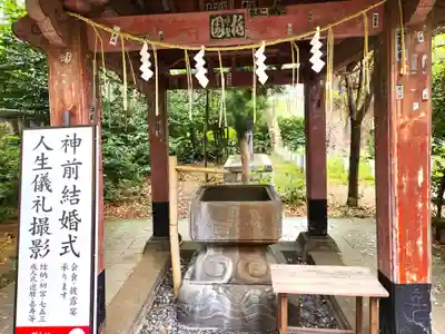 芝東照宮の手水舎