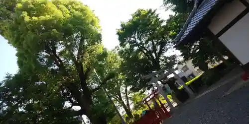 倉掛神社(京都府)