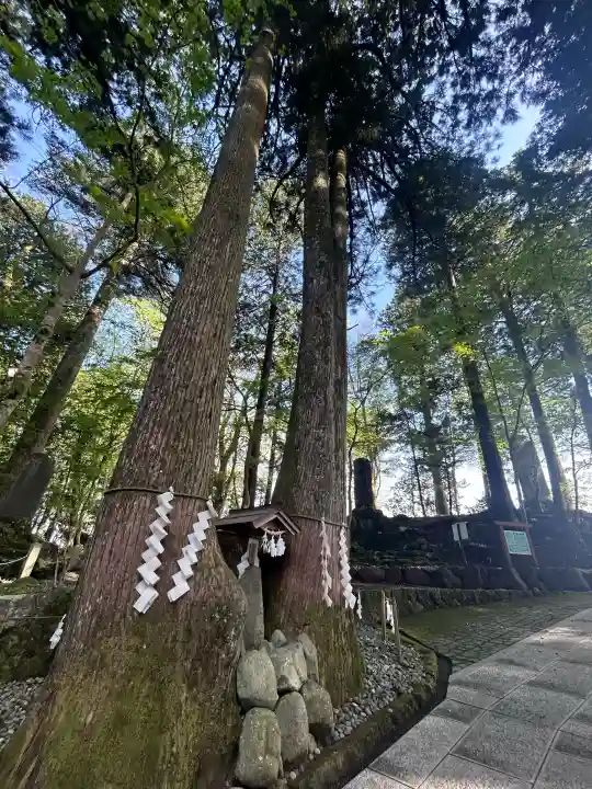 富士山東口本宮 冨士浅間神社の{uncategorized: "未分類", other: "その他", undefined: "問題あり", building: "その他建物", grave: "お墓", sacred_gate: "鳥居", guardian: "狛犬", statue: "像", buddha: "仏像", history: "歴史", nature: "自然", garden: "庭園", animal: "動物", pagoda: "塔", temizu: "手水舎", mountain_gate: "山門・神門", sanctuary: "本殿・本堂", subordinate: "末社・摂社", art: "芸術", scenery: "景色", jizo: "地蔵", ema: "絵馬", goshuin: "御朱印", omikuji: "おみくじ", items: "授与品その他", amulet: "お守り", goshuincho: "御朱印帳", eats: "食事", festival: "お祭り", votive_dance: "神楽", shichigosan: "七五三参", wedding: "結婚式", experience: "体験その他", initially: "初詣", around: "周辺", anti_infection: "感染症対策"}