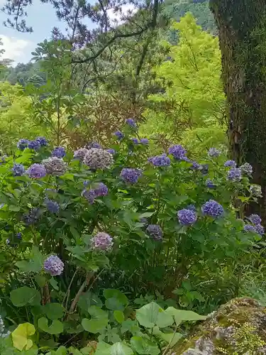 善峯寺(京都府)